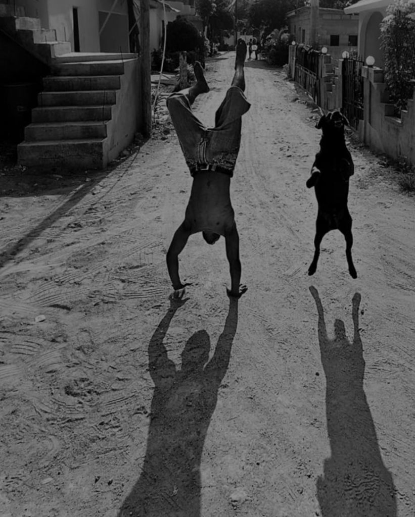 yogang_biarritz_saint_jean_de_luz_yoga_pilates_studio_mouvement_animal_flow