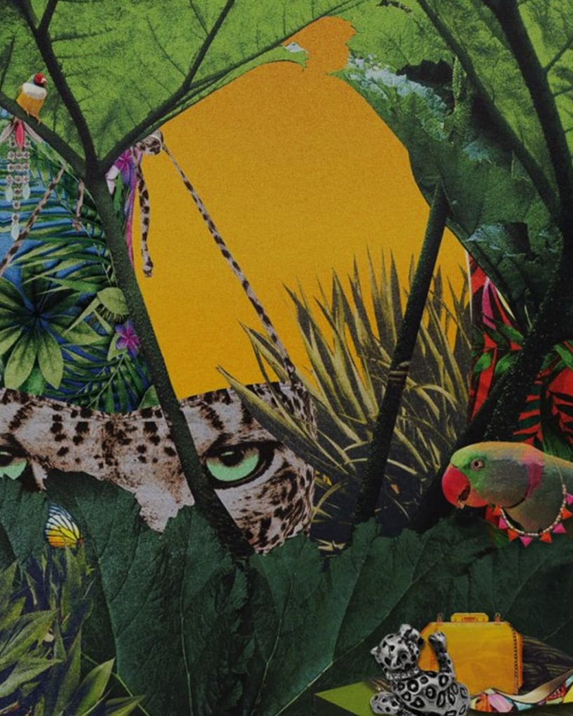 yogang_biarritz_saint_jean_studio_yoga_pilates_mouvement_primal_mobilité